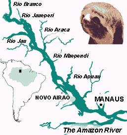 amazxon River map