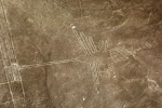 hummingbird outline nazca