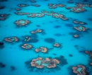 heron island reef