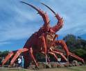 giant lobster kingston