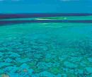 coral cay Great Barrier Reef Queensland Australia