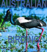 birding in australia